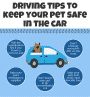 Driving Tips to Keep Your Pet Safe in Car